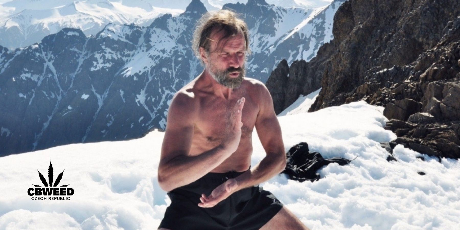 wim hof a cbd cbweed